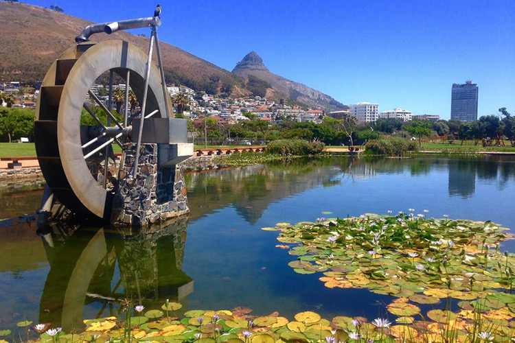 A water wheel in a lake