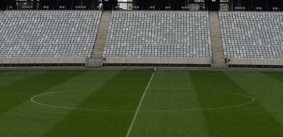 Oppenheimer-stadium